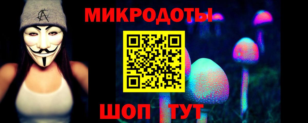 Галлюциногенные грибы мицелий Калининград
